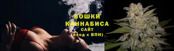 индика Бердск